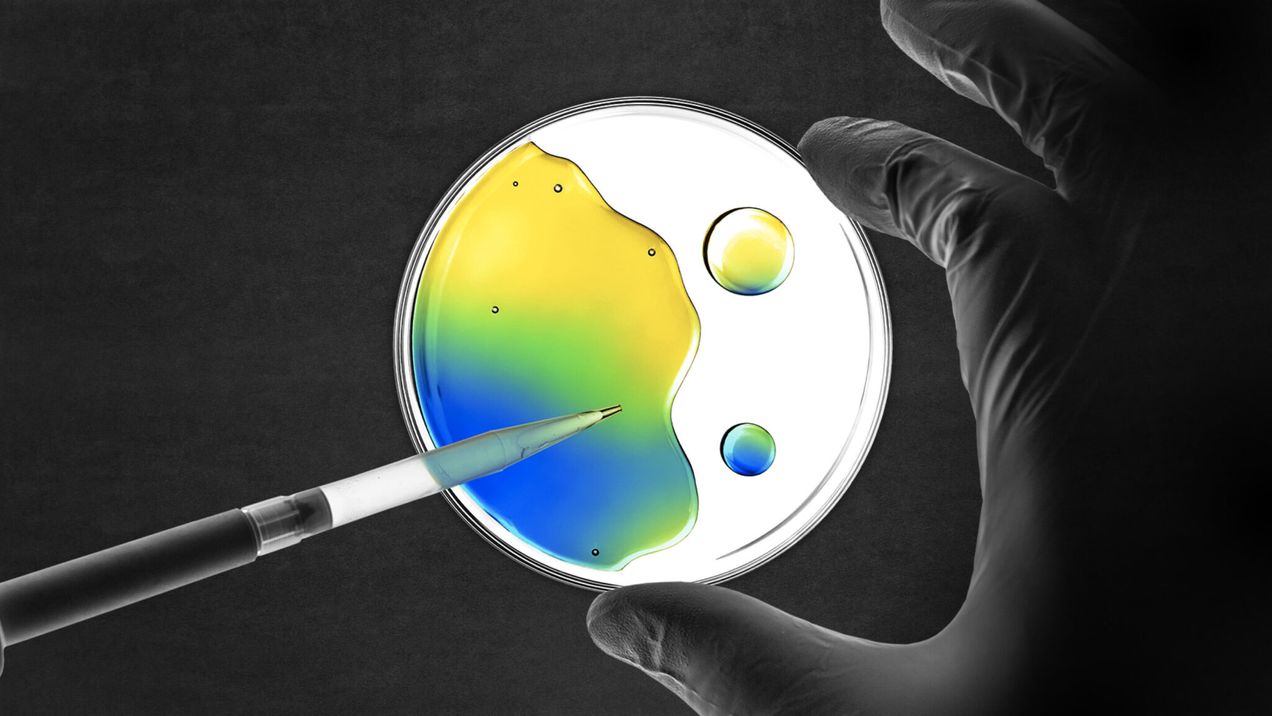 AMR, climate change and biodiversity loss