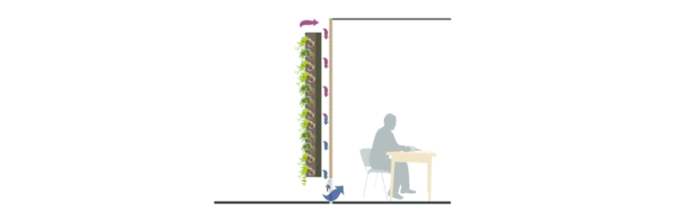 Vertical gardening providing food and cooling