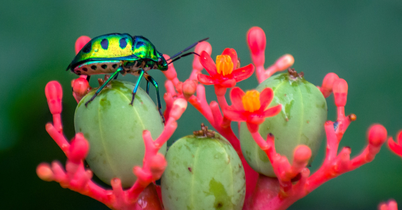 Why investors need to think about COP 15