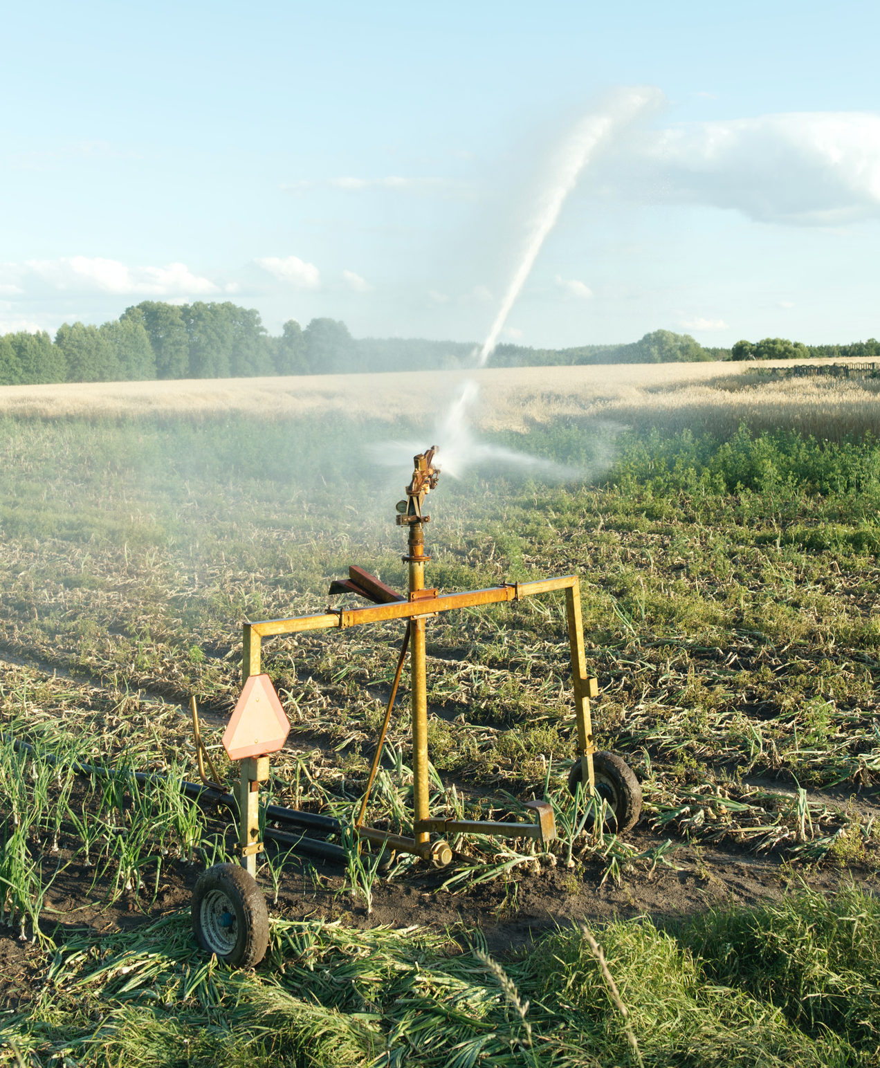 Water use in agriculture