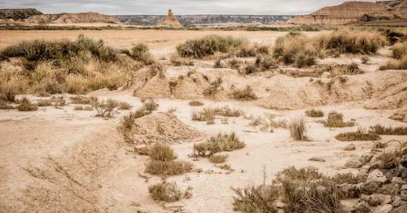 What investors can do to improve our soil (and why)