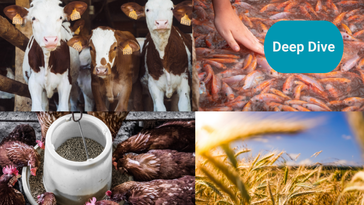 Feed the world - Changes to feed and Total Resource Productivity