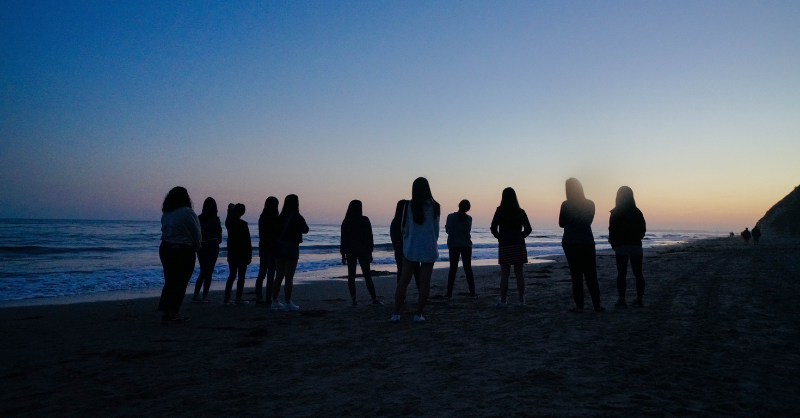 Sunday Brunch: can the real sustainable investor please stand up?