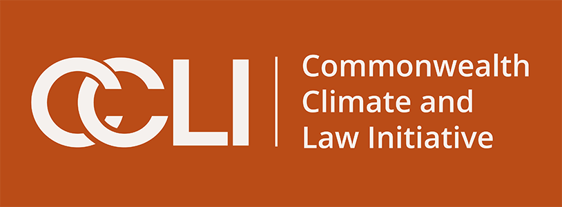 Nature-related risks: almost certainly one for the board