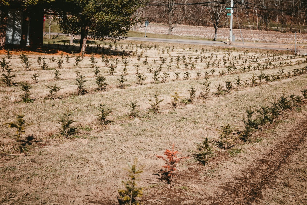 The limits of sequestration