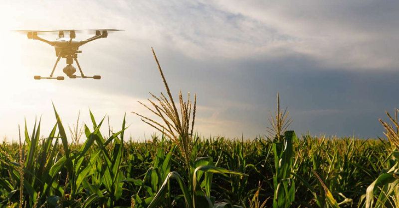 Sunday Brunch: Agriculture needs less complex tech?