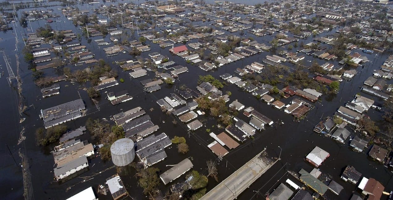 Sunday Brunch: Is self insurance a hidden investor risk?