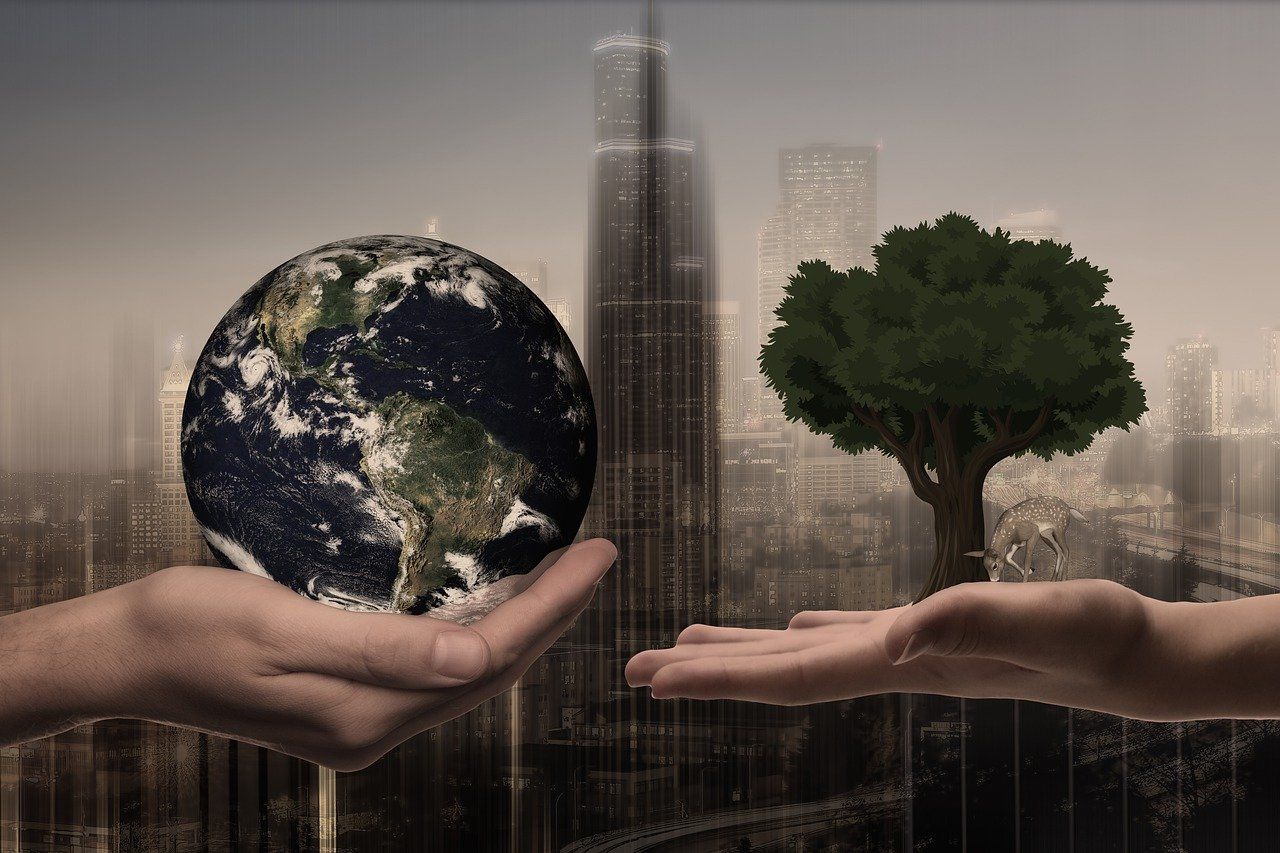 How much are green buildings worth?