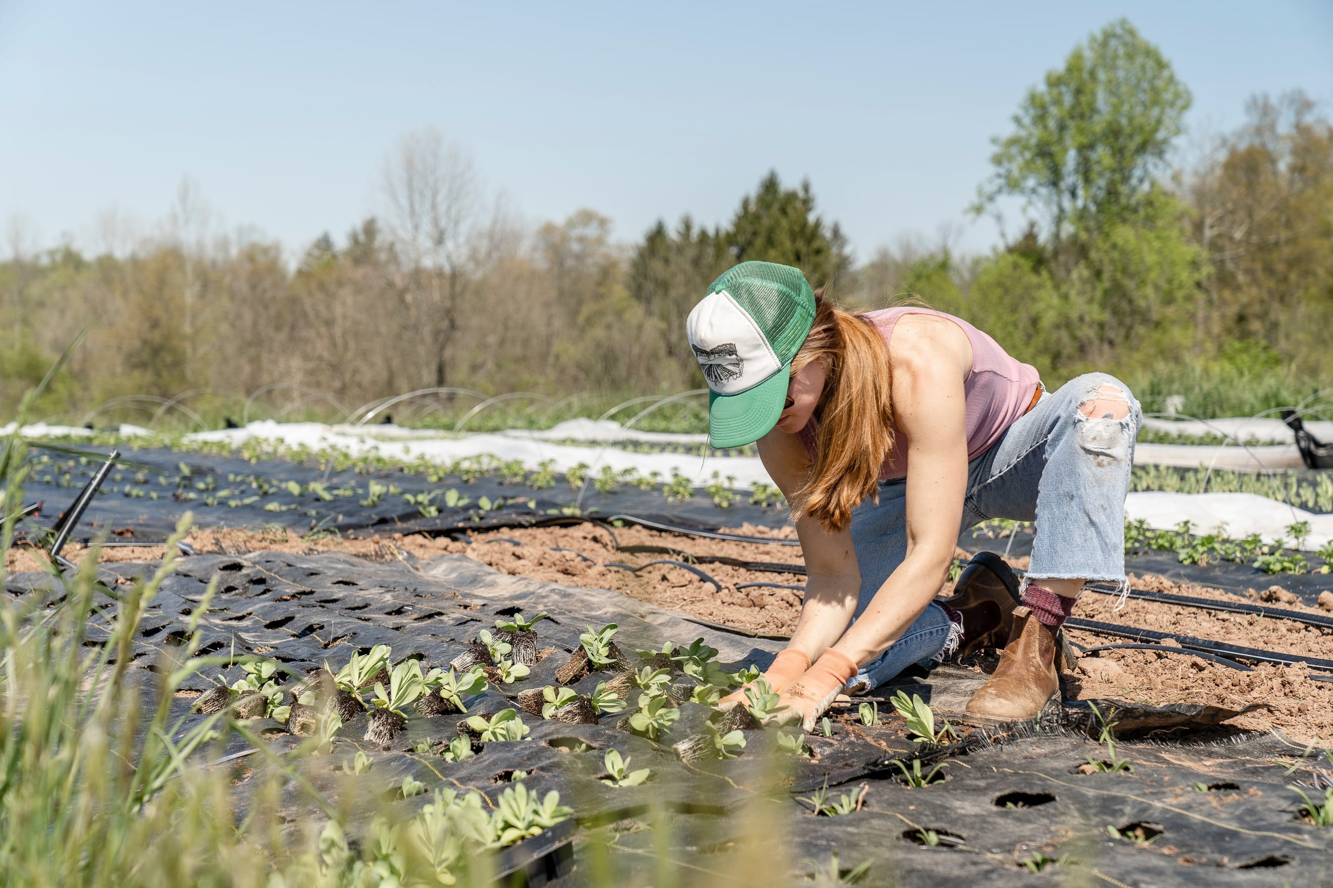 We need to invest a lot more in agriculture