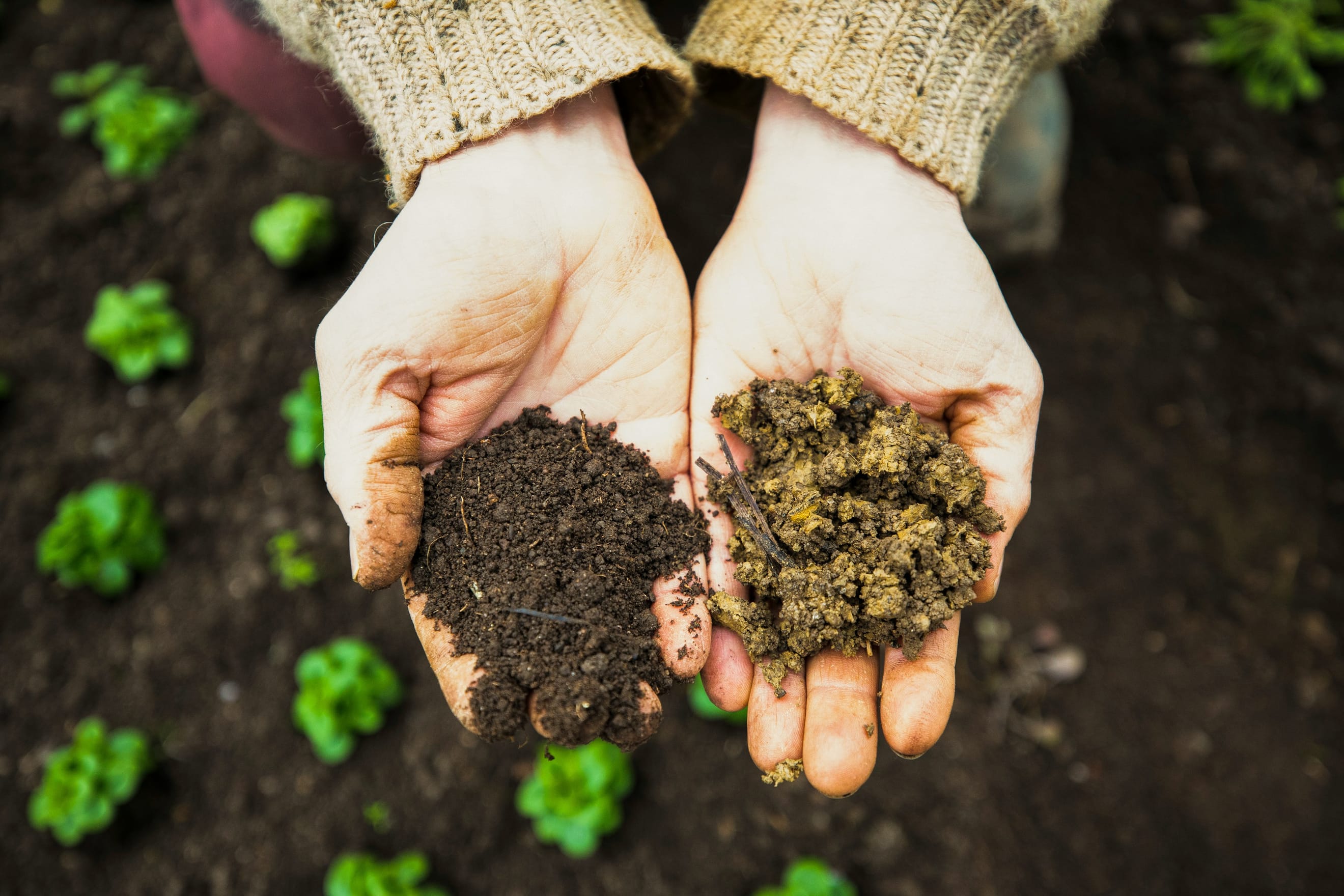 Do soil carbon-sucking projects deserve the credit they get?