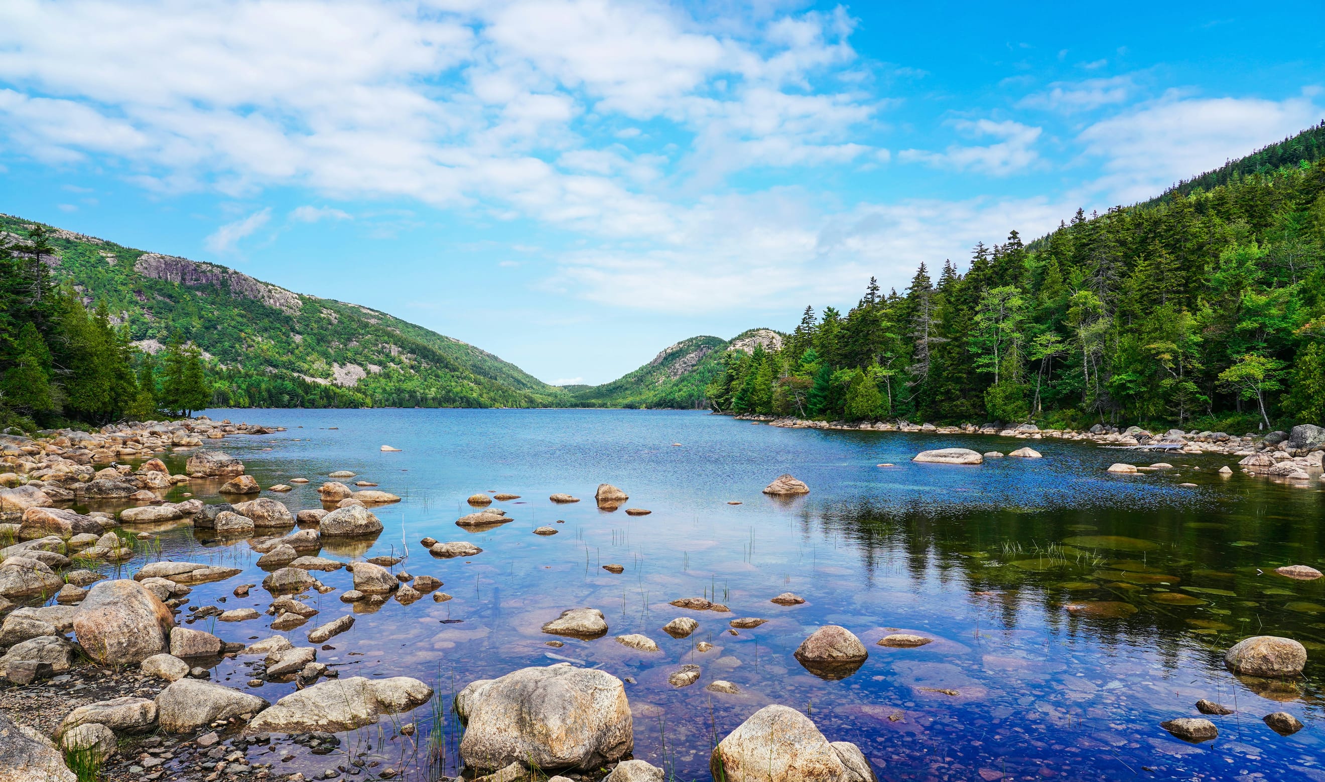 Legal opinion - no surprise, directors do need to consider nature related risks