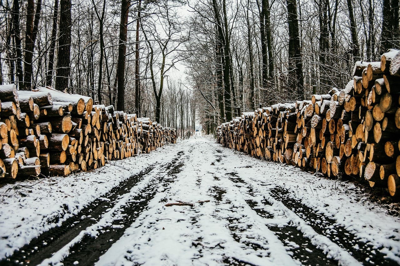 Deforestation - an increasing risk for food companies