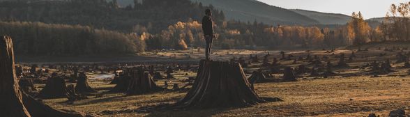 Transitions/Human Rights