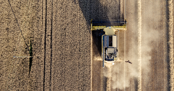 Agriculture/natural capital